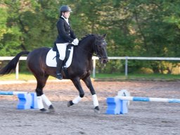 IMG_7834_web
